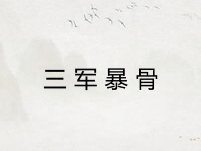 三军暴骨