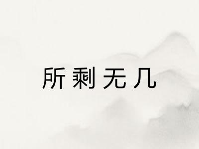 所剩无几