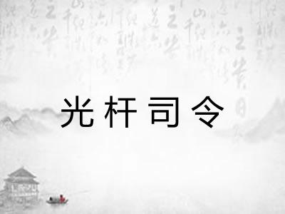 光杆司令