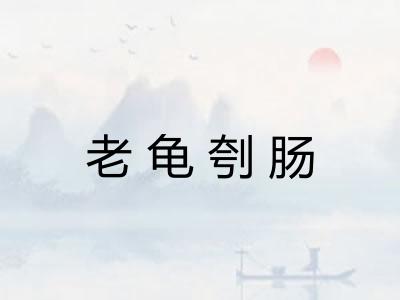 老龟刳肠