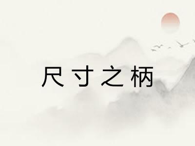 尺寸之柄