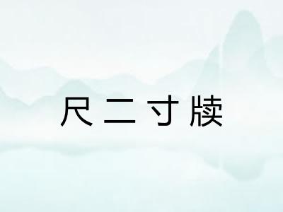尺二寸牍