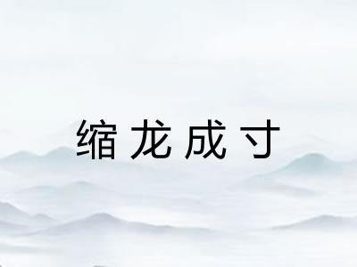 缩龙成寸