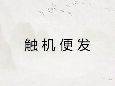 触机便发