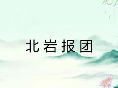 北岩报团