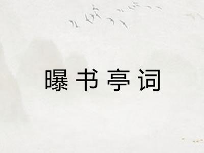 曝书亭词