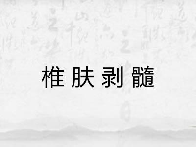 椎肤剥髓
