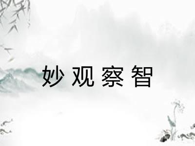 妙观察智