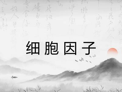 细胞因子