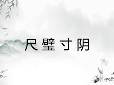 尺璧寸阴