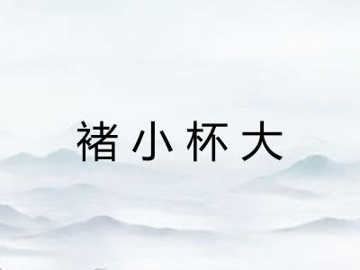 褚小杯大