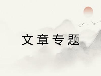文章专题