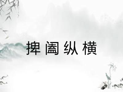 捭阖纵横
