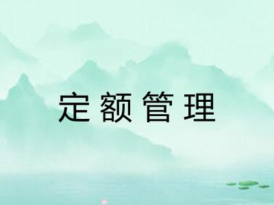 定额管理