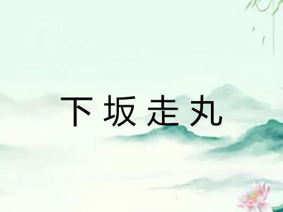 下坂走丸