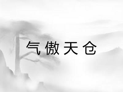 气傲天仓