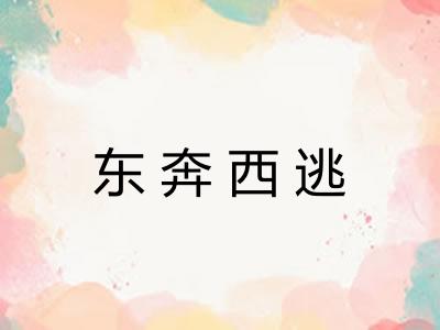 东奔西逃