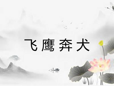 飞鹰奔犬