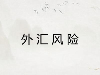 外汇风险