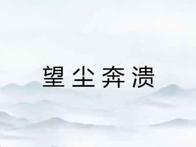望尘奔溃