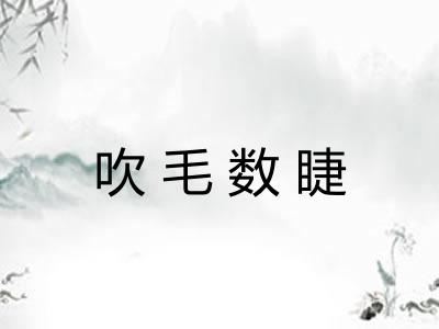 吹毛数睫