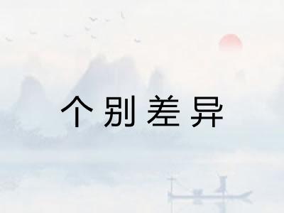 个别差异
