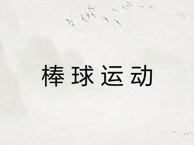 棒球运动