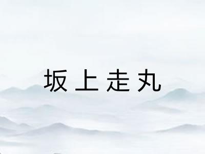 坂上走丸