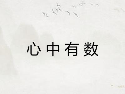 心中有数