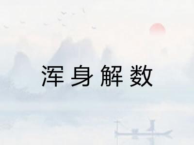 浑身解数