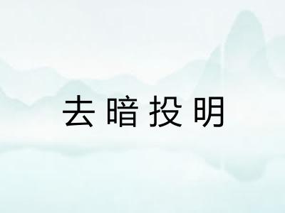 去暗投明