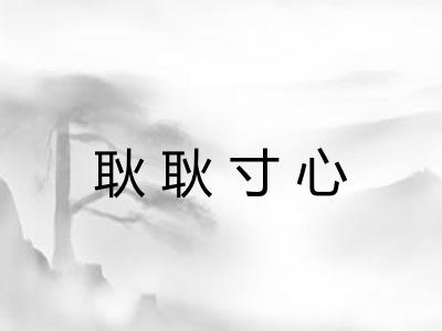耿耿寸心