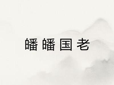 皤皤国老