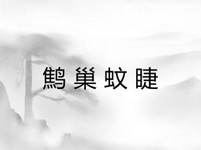 鹪巢蚊睫