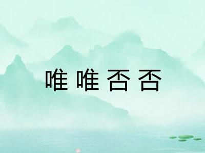 唯唯否否