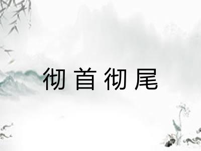 彻首彻尾