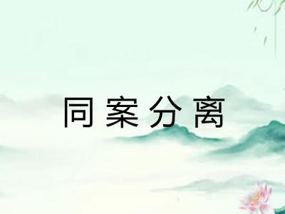同案分离