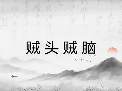 贼头贼脑