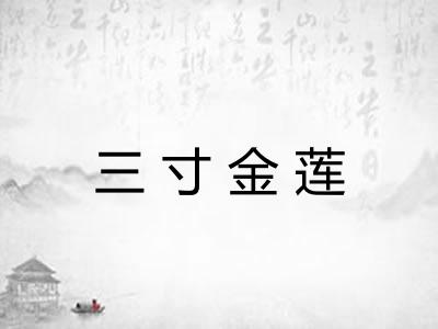 三寸金莲