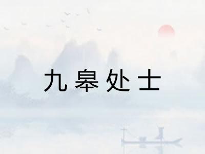九皋处士
