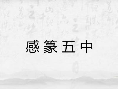 感篆五中