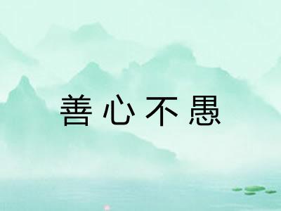 善心不愚