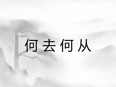 何去何从
