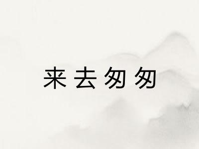 来去匆匆
