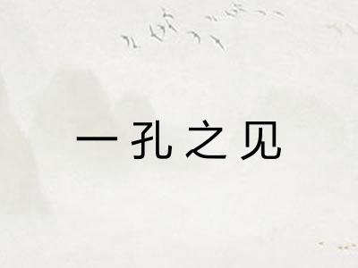 一孔之见