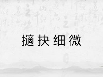 擿抉细微