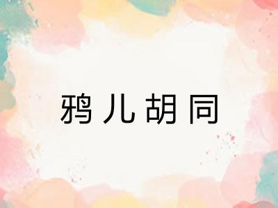 鸦儿胡同