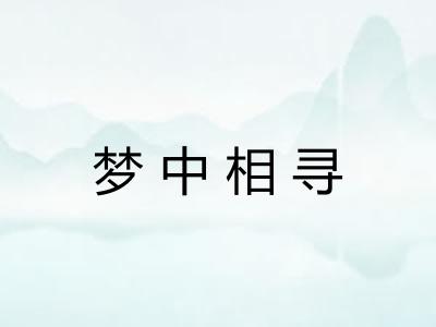 梦中相寻