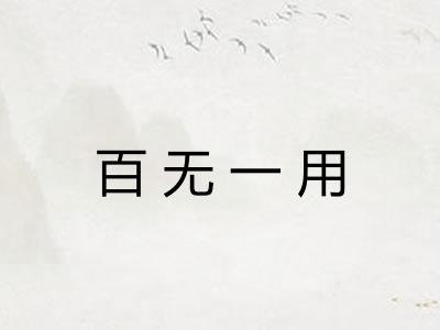 百无一用