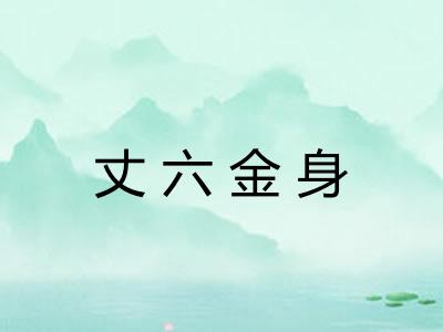 丈六金身